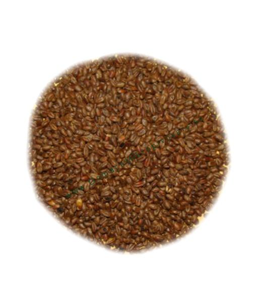Slad Carawheat, karamelový (1kg)