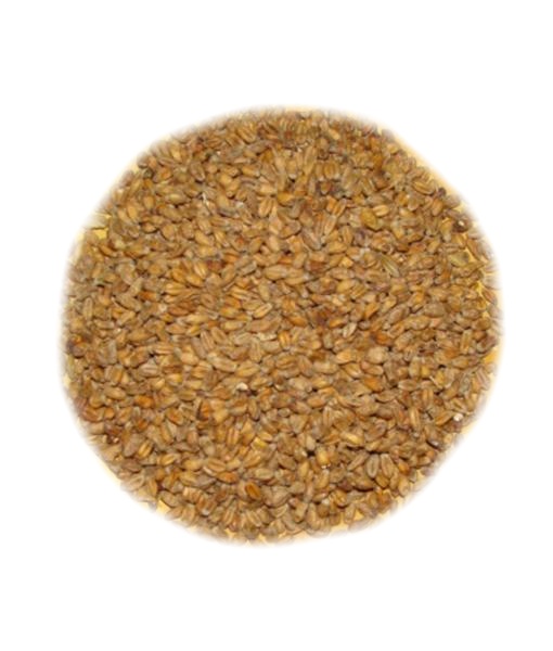Slad Pšeničný, tmavý (1kg)