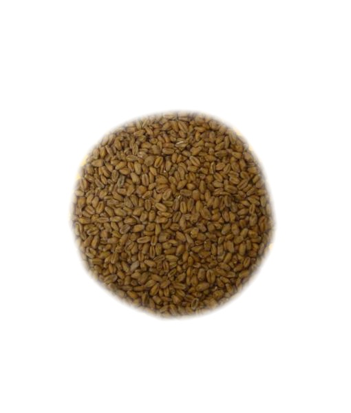 Slad Pšeničný, nadymovaný (1kg)